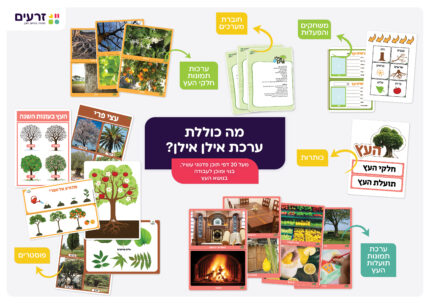אילן אילן