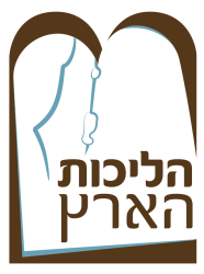 לוגו